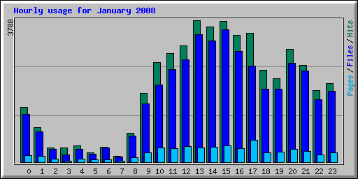 Hourly usage for January 2008