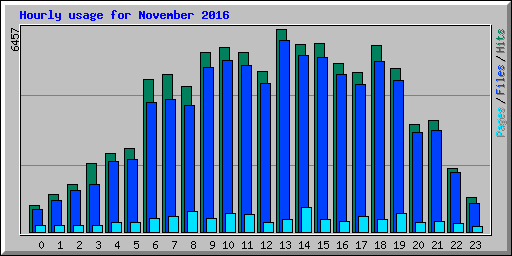 Hourly usage for November 2016