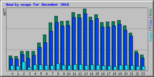 Hourly usage for December 2016