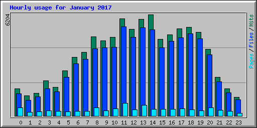 Hourly usage for January 2017