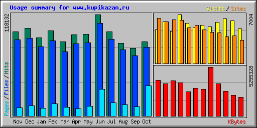 Usage summary for www.kupikazan.ru